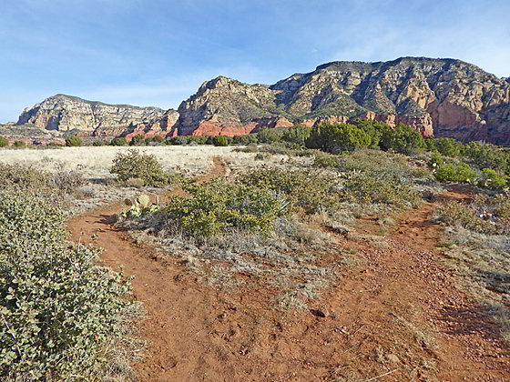 Wilson Mountain and Lost Wilson Mountain