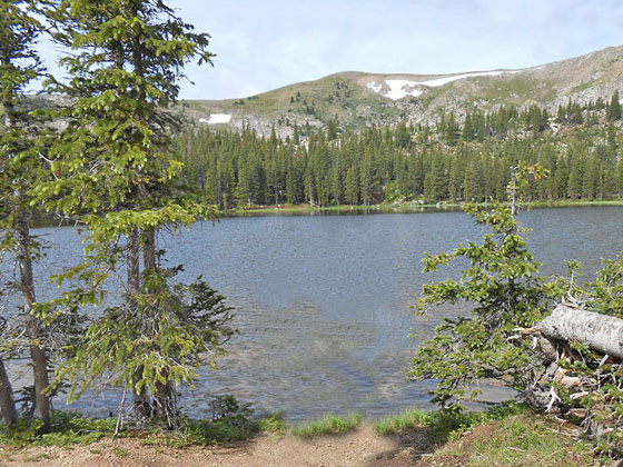 Waterdog Lake 