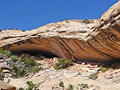 First views of the alcove and Cold Springs Cave