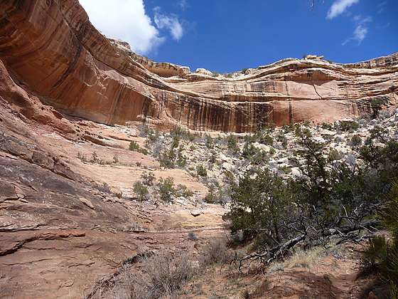 View of scenic Kane Gulch 