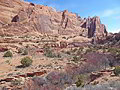 Scenic Canyon Walls